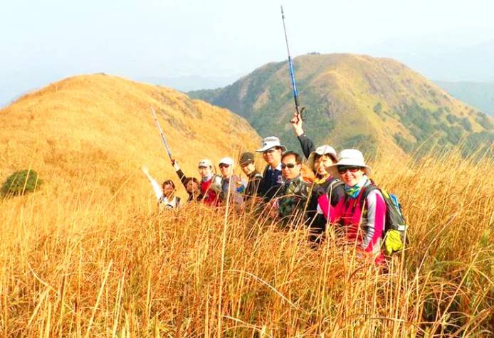 （每周六日）深圳户外活动 登东莞千米高山-—白云嶂 赏金色芦苇一日游