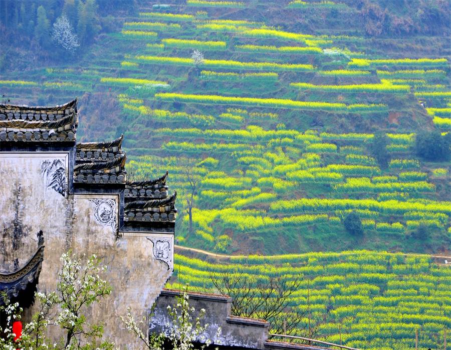 【诗画江西】江西南昌—江南三大名楼之首滕王阁、八一广场、江西庐山风景名胜区、景德镇、婺源篁岭五日游